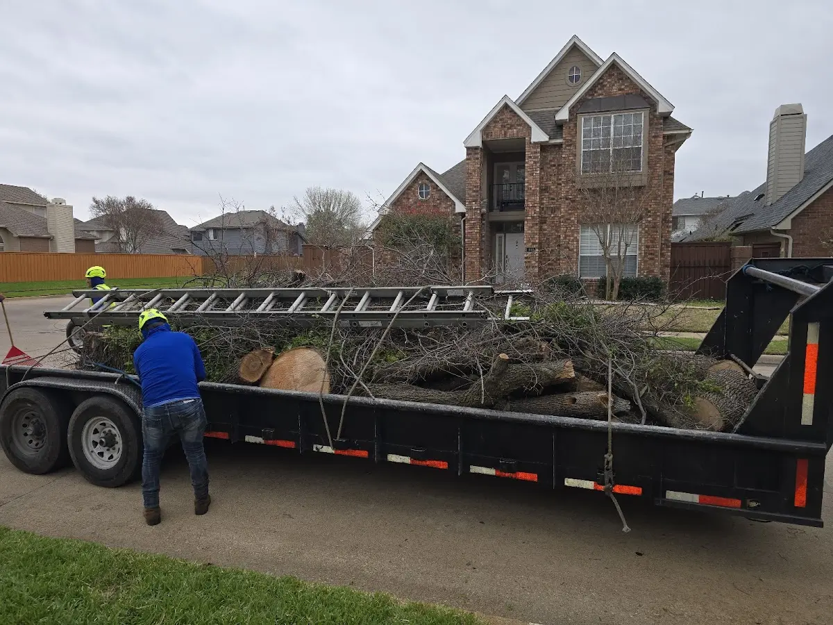 Expert Tree Removal with proper safety equipment in Mount Gay